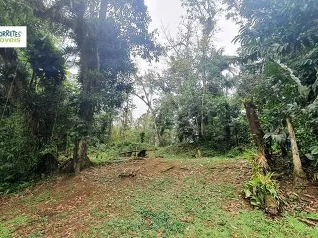 Imagem: Chácara À Venda no Bairro Vila das Palmeiras