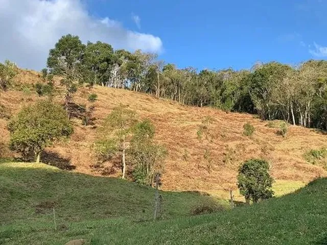 Imagem 2: Vendo Sítio em Rancho Queimado