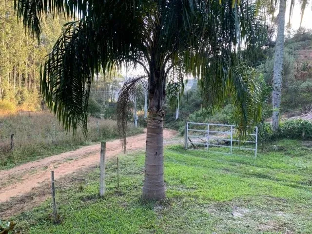 Imagem 3: Vendo Sítio em Rancho Queimado