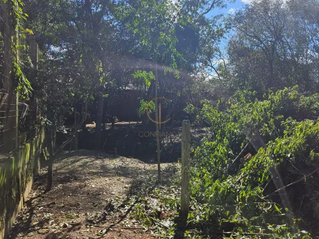Imagem 4: Terreno com 994 m², no Olaria, em Canoas