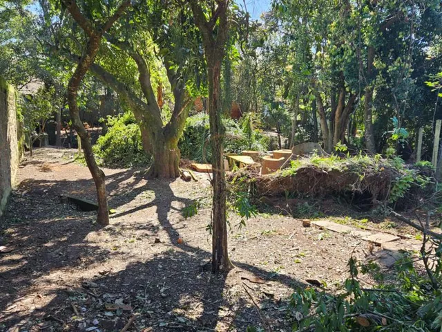Imagem 5: Terreno com 994 m², no Olaria, em Canoas