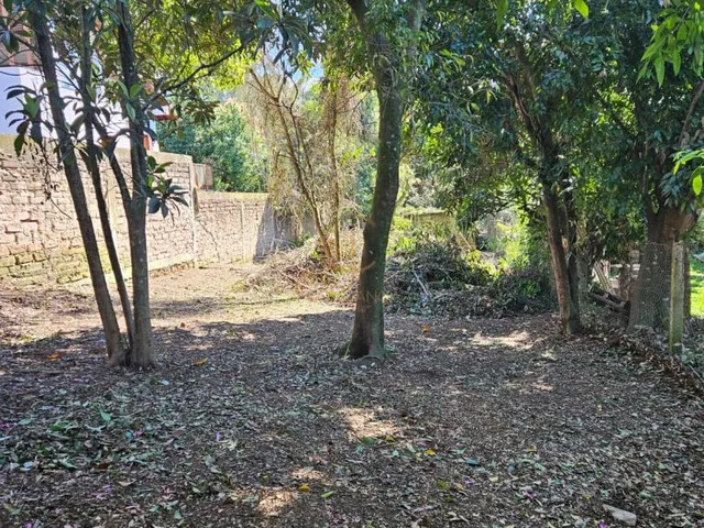 Imagem 6: Terreno com 994 m², no Olaria, em Canoas