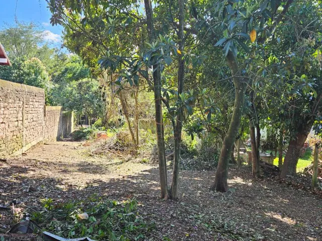 Imagem 7: Terreno com 994 m², no Olaria, em Canoas