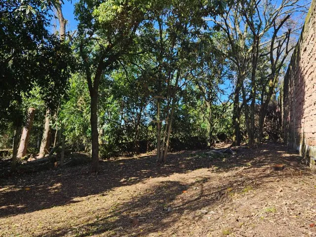 Imagem 10: Terreno com 994 m², no Olaria, em Canoas