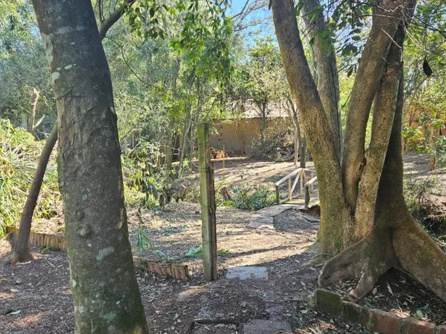 Imagem 11: Terreno com 994 m², no Olaria, em Canoas