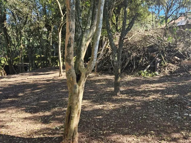 Imagem 13: Terreno com 994 m², no Olaria, em Canoas