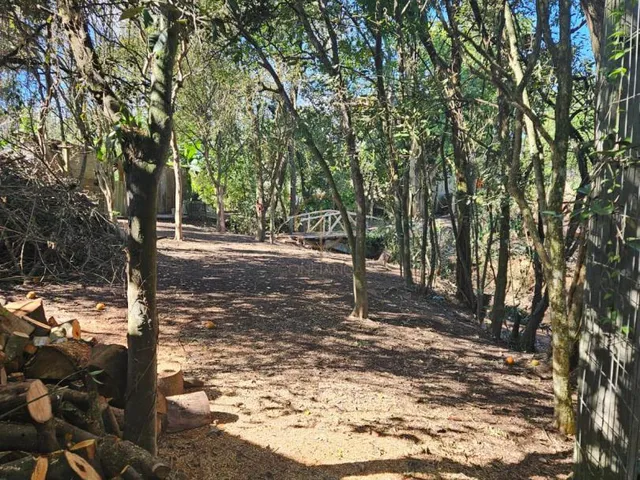 Imagem 14: Terreno com 994 m², no Olaria, em Canoas