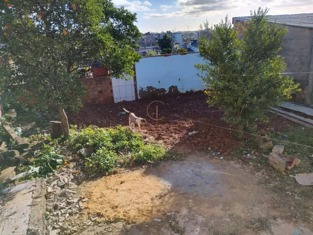 Imagem 10: Casa com 03 dormitórios, no Guajuviras, em Canoas