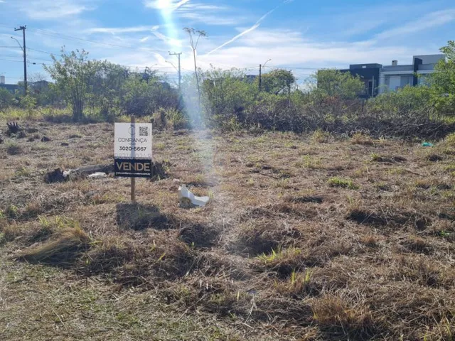Imagem 4: Excelentes lotes 12 x 30m, Av Açucena