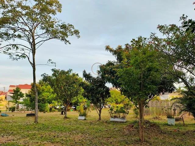 Imagem 5: Casa Térrea 03 Dormitórios com 02 Vagas para Veículos no bairro Moinhos de Vento