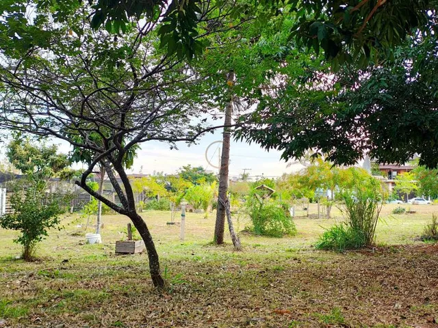 Imagem 4: Casa Térrea 03 Dormitórios com 02 Vagas para Veículos no bairro Moinhos de Vento
