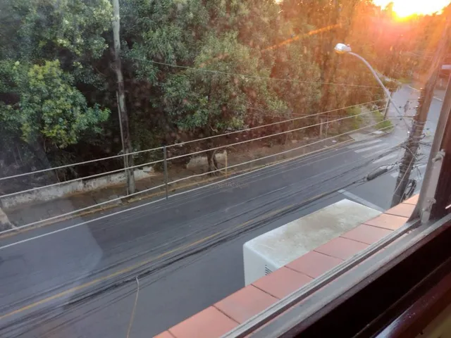 Imagem 14: Apartamento de 3 dormitórios no Nossa Senhora da Graças