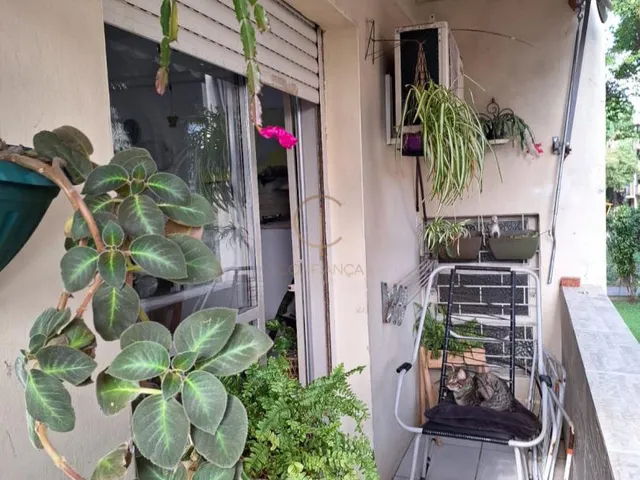 Imagem 13: Apartamento 3 dormitórios , 1 vaga no Nossa Senhora das Graças