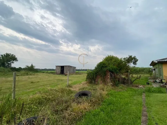 Imagem 4: SÍTIO NO MATO GRANDE COM 5000 M²