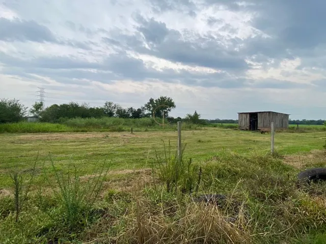 Imagem 5: SÍTIO NO MATO GRANDE COM 5000 M²