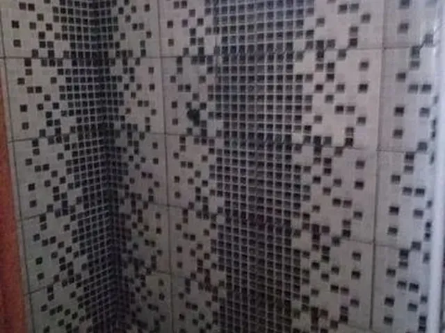 Imagem: Casa pra Alugar em Linhares