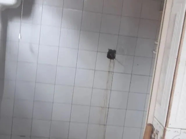 Imagem: Alugar Uma Casa