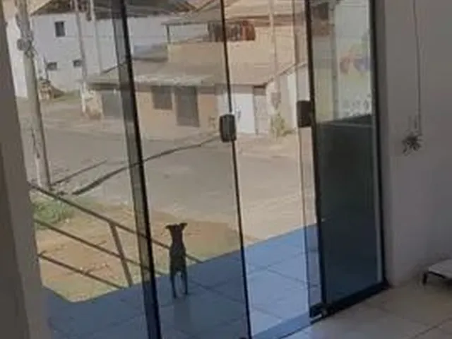 Imagem: Aluga Casa Centro de Navegantes 200 Mt D