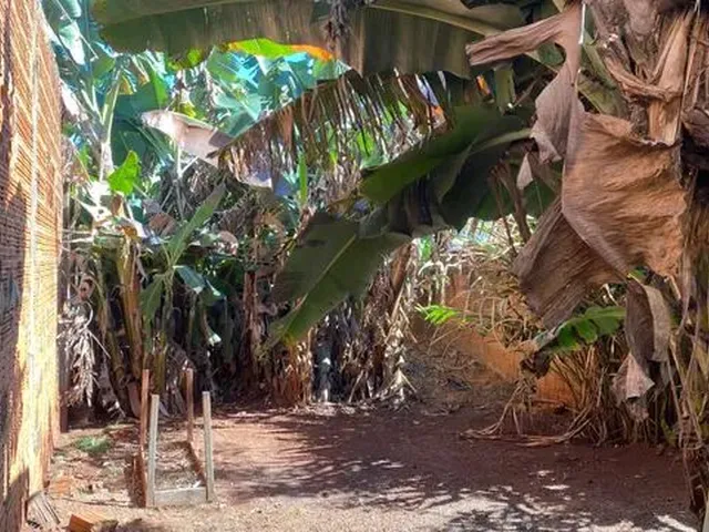 Imagem 3: Alugo Casa no Aero Rancho