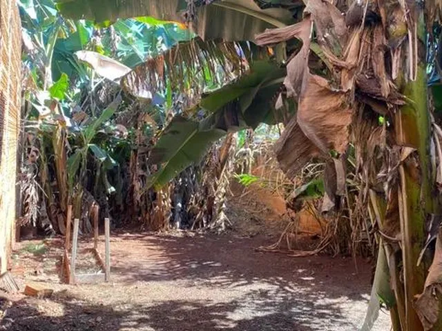 Imagem 2: Alugo Casa no Aero Rancho