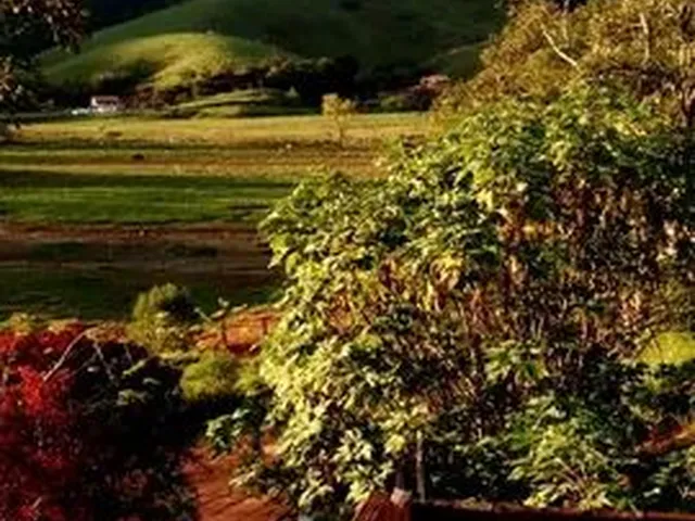 Imagem: Sítio Sul de Minas. 85.000/Documentos Ok