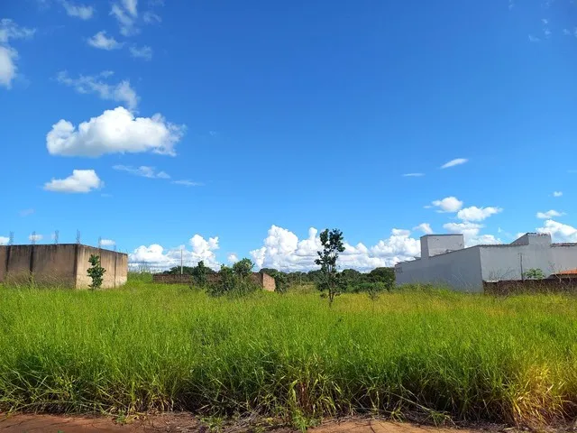 Imagem 1: Vende-Se Terreno Próximo a Ufu, Localização Privilegiada