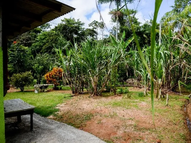 Imagem 4: Chácara com Casa - Próximos a Vila de Pedra Azul