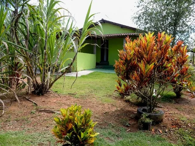 Imagem 10: Chácara com Casa - Próximos a Vila de Pedra Azul