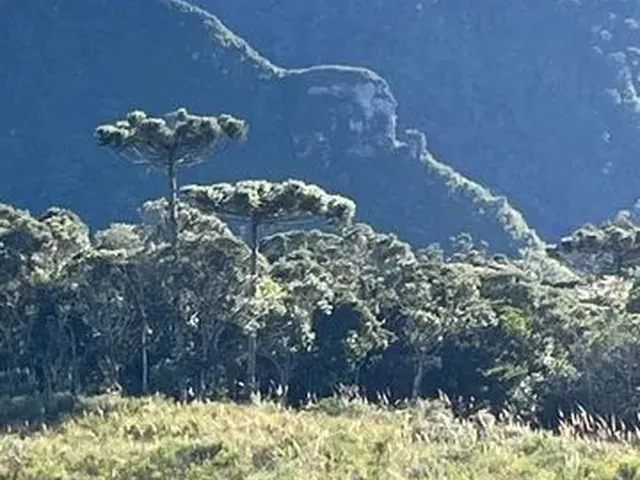 Imagem 6: Áreas no Legado Sebold em Alfredo Wagner - Sc