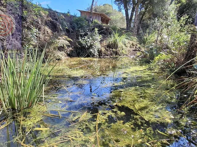 Imagem: Chácara em Mato Bonito, Campo Alegre/SC