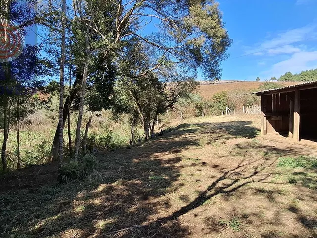 Imagem 6: Chácara em Mato Bonito, Campo Alegre/SC