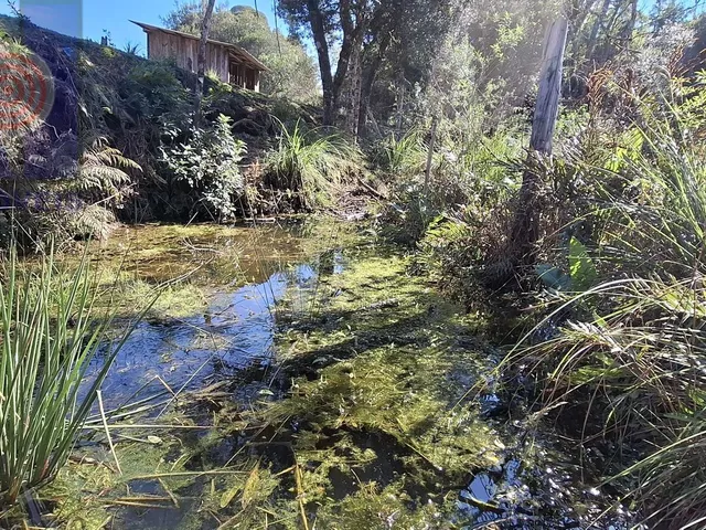Imagem 7: Chácara em Mato Bonito, Campo Alegre/SC