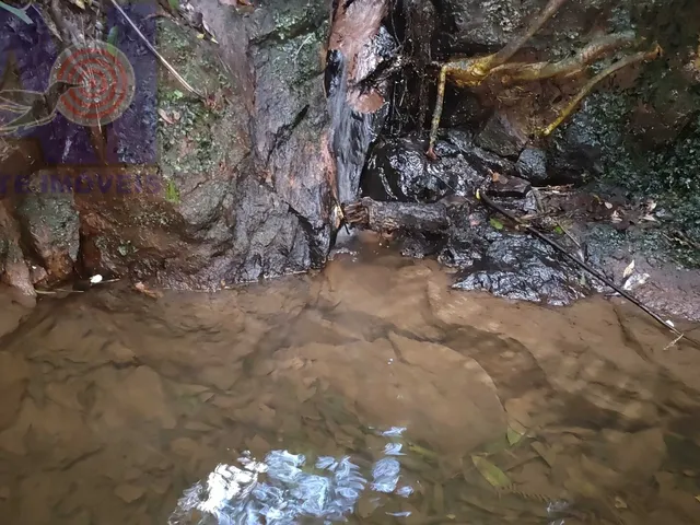Imagem: Terreno com 2 córregos de aguas cristalinas