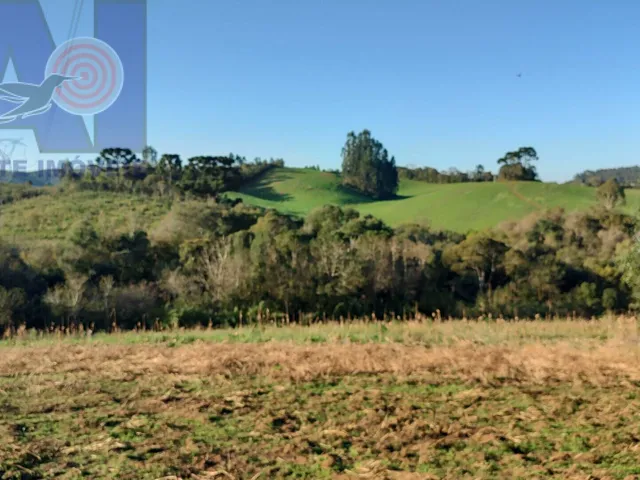 Imagem: Terreno Rural