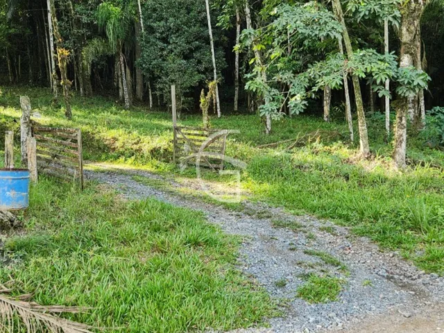 Imagem: TERRENO - ARAQUARI