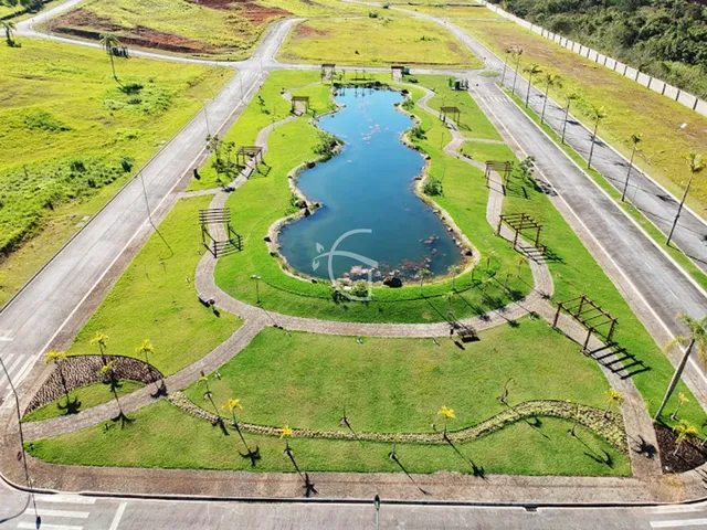 Imagem 4: ELE É UM VERDADEIRO PARAISO
