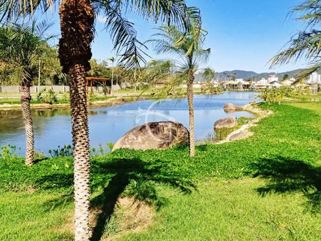 Imagem 13: ELE É UM VERDADEIRO PARAISO
