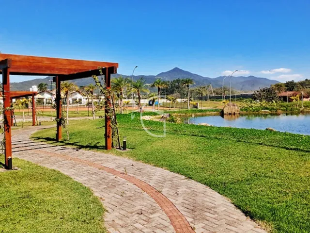 Imagem 11: ELE É UM VERDADEIRO PARAISO