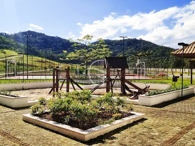 Imagem 12: ELE É UM VERDADEIRO PARAISO