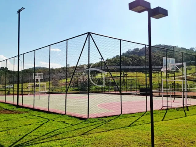 Imagem 6: ELE É UM VERDADEIRO PARAISO