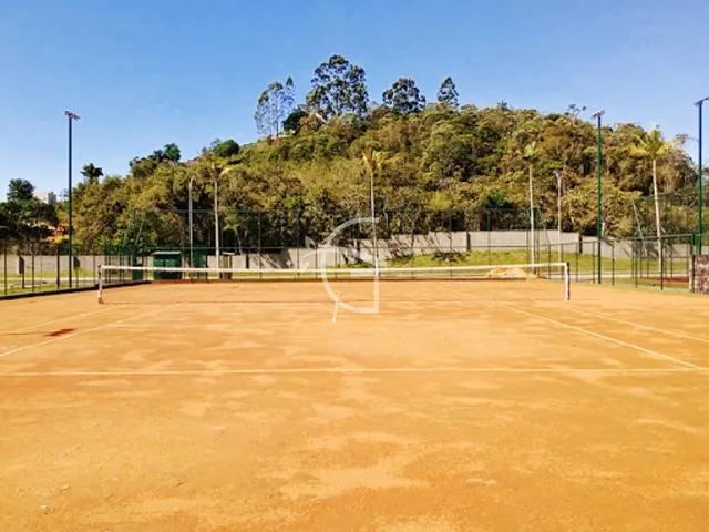 Imagem 2: ELE É UM VERDADEIRO PARAISO