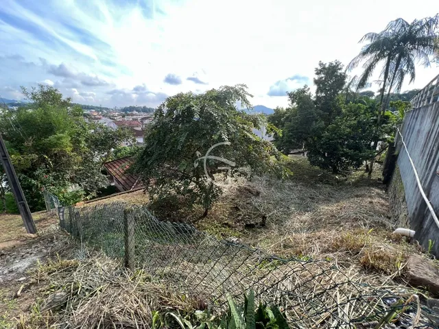 Imagem 5: Excelente terreno pronto para construir!