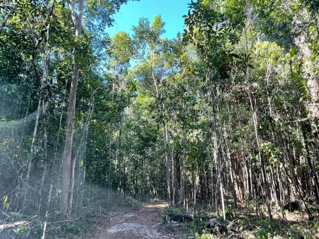 Imagem: TERRENO RESIDENCIAL em MARAÚ - BA, Praia