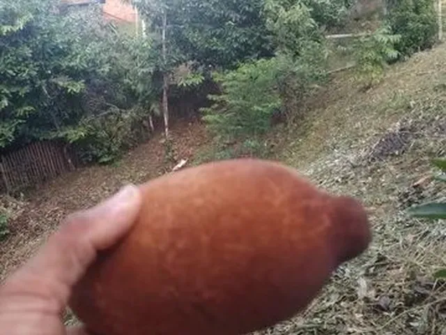 Imagem: Chácara a Venda