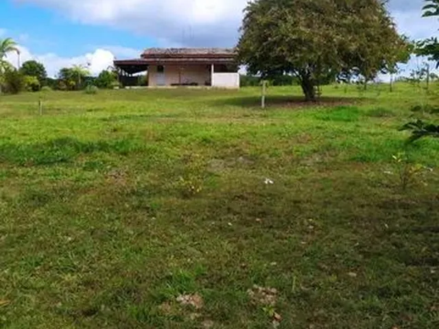 Imagem: Vendo Chacara 7000 M2 Mato Seco Guaratingueta
