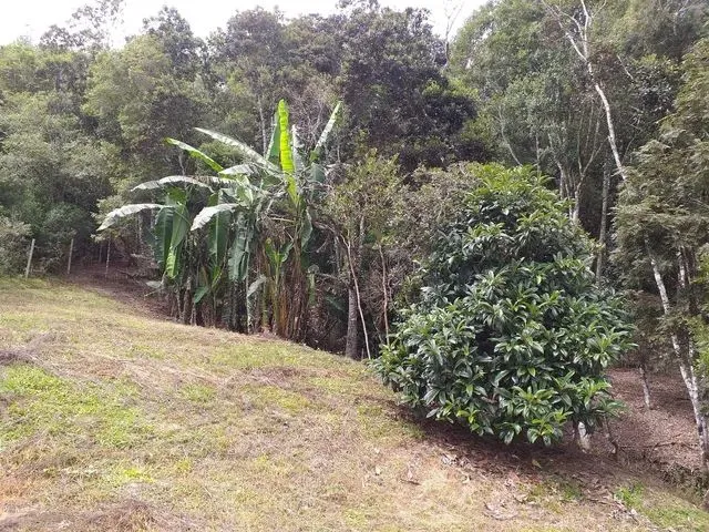 Imagem 10: Sítio com Casa Mobiliada em Alfredo Wagner