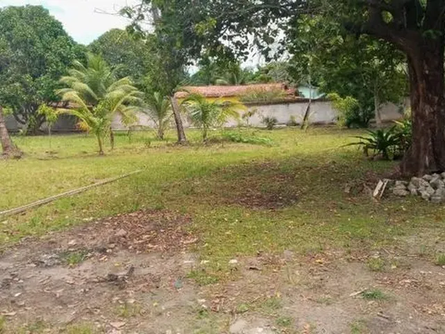 Imagem 3: Vendo Chácara com Terreno de 4.600 M2