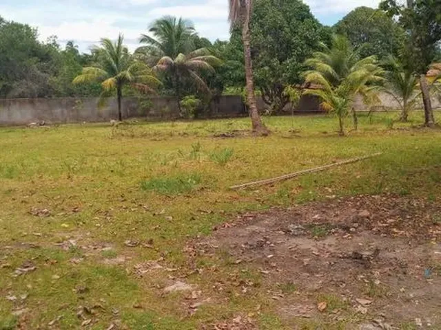 Imagem 7: Vendo Chácara com Terreno de 4.600 M2