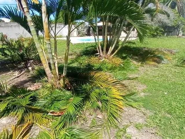 Imagem 5: Vendo Chácara com Terreno de 4.600 M2