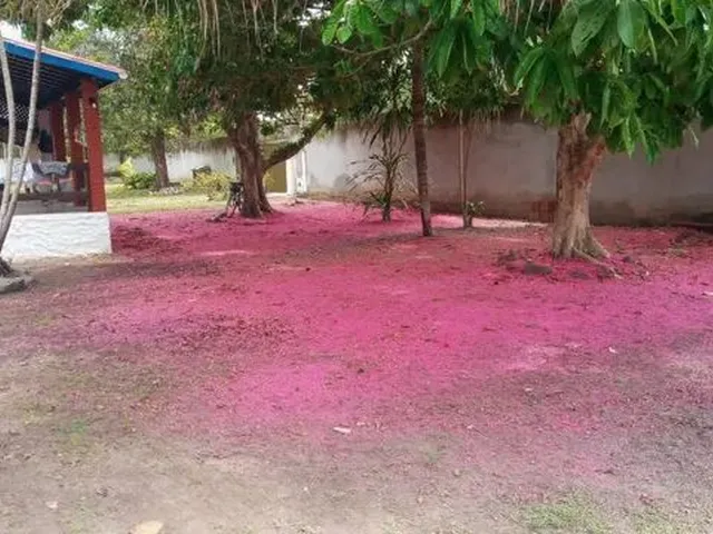 Imagem 8: Vendo Chácara com Terreno de 4.600 M2